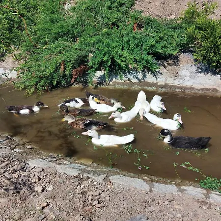 Pensjonat Villa Krotoszyce