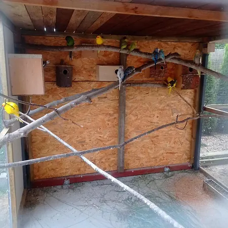 Villa Krotoszyce Pensjonat