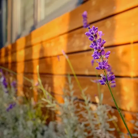 Villa Krotoszyce Pensjonat 3*