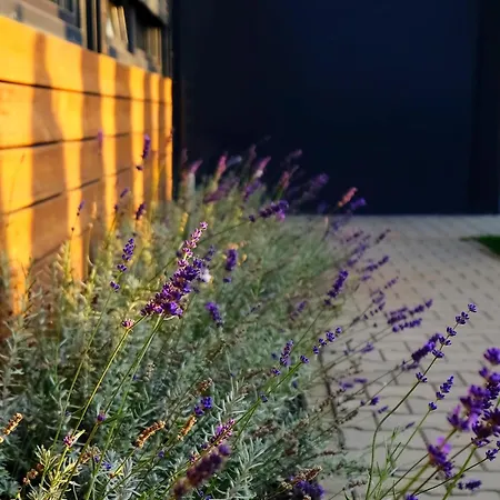 Villa Krotoszyce Pensjonat