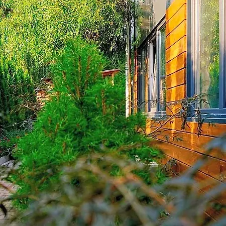 Pensión Villa Krotoszyce