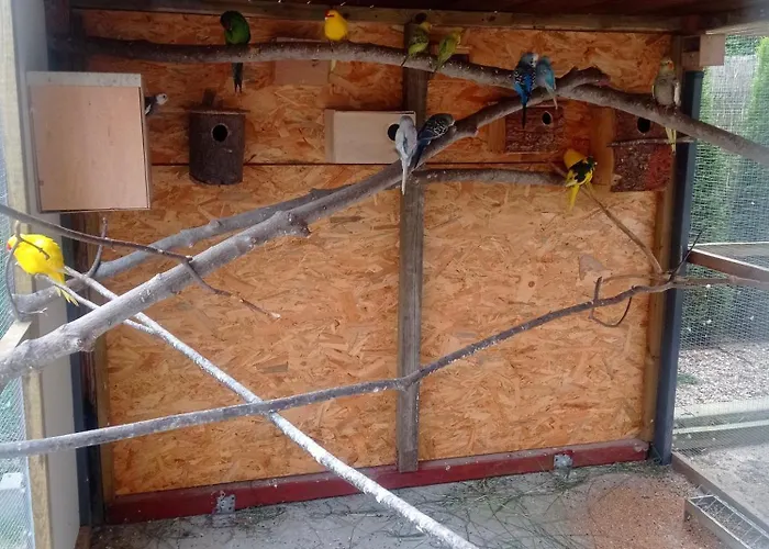 Villa Krotoszyce Pensjonat