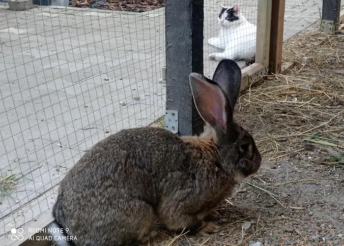 Villa Krotoszyce Pensjonat Krotoszyce