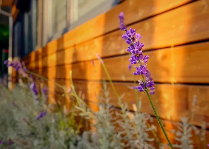 Villa Krotoszyce Pensjonat 3*