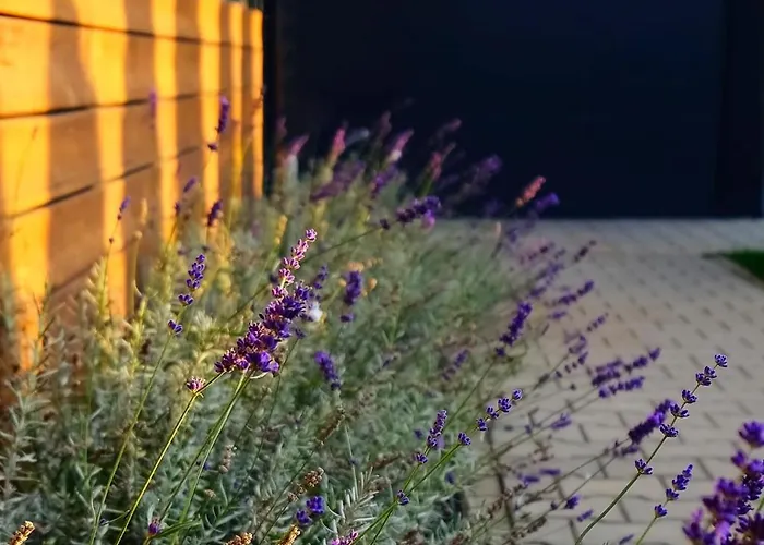 Villa Krotoszyce Pensjonat