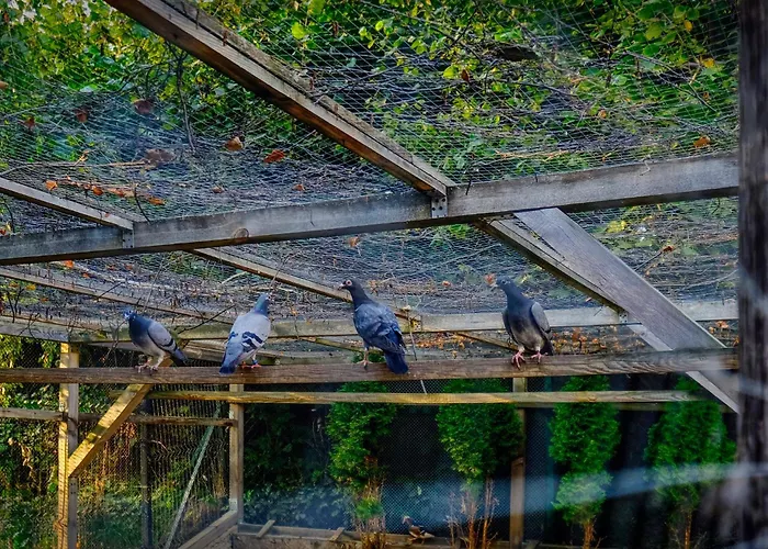 Pensjonat Villa Krotoszyce