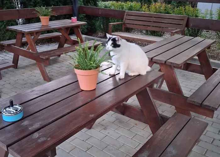 Pensjonat Villa Krotoszyce Krotoszyce